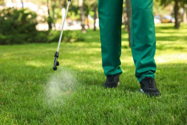 Best Affordable Pest Control Services  in Savannah, TX