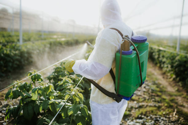 Best Residential Pest Control  in Savannah, TX